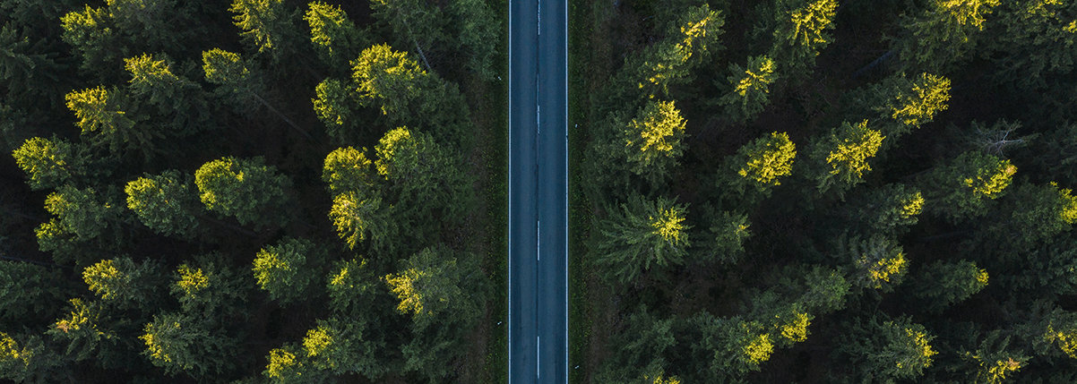 Shutterstock 1186193812