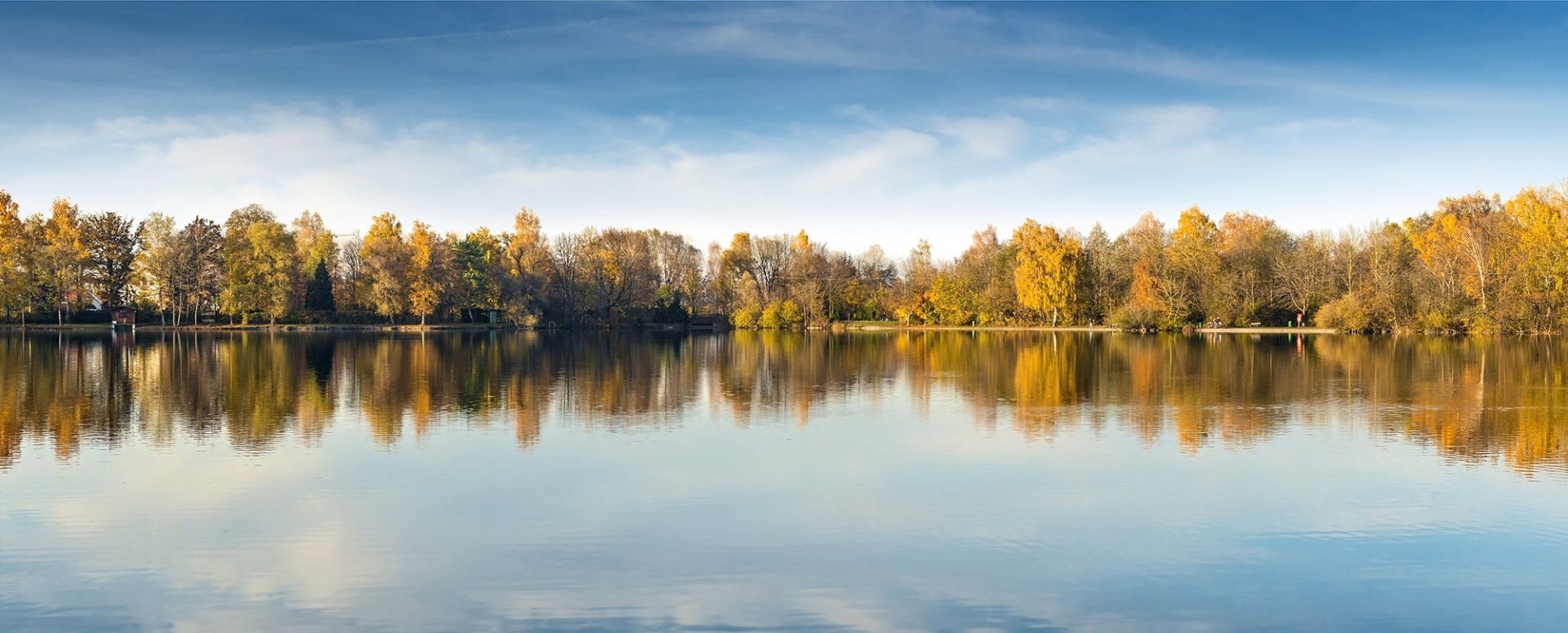 Shutterstock 335319167 Edited