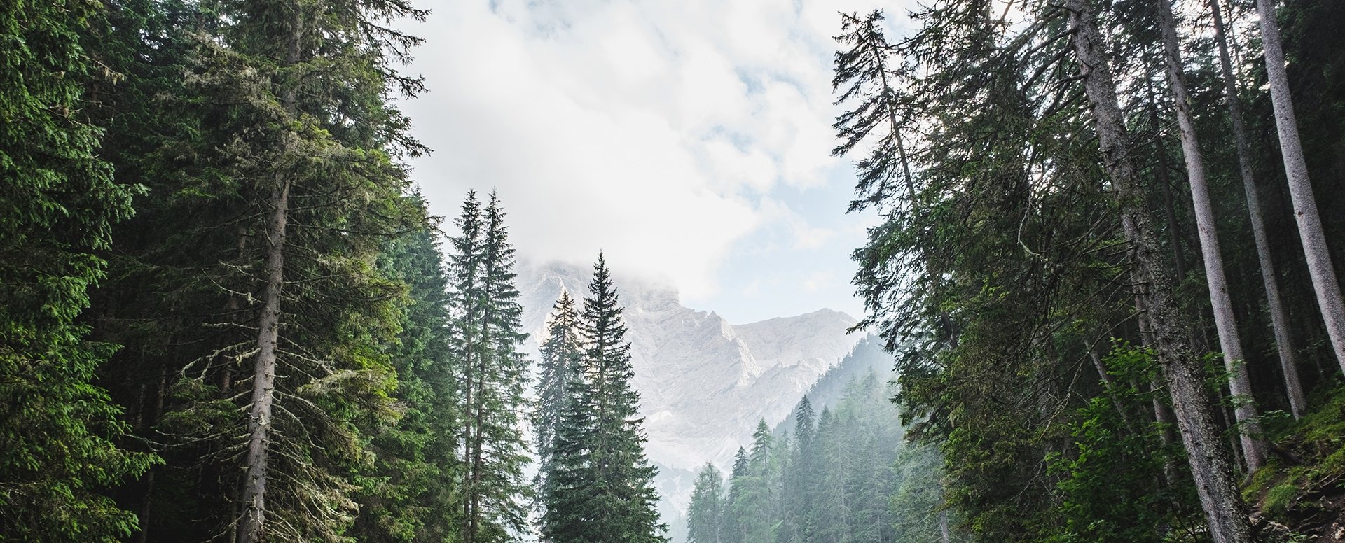 Luca bravo 134776 unsplash copy
