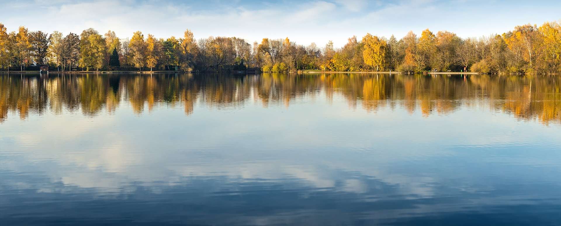 Shutterstock 335319167 Edited