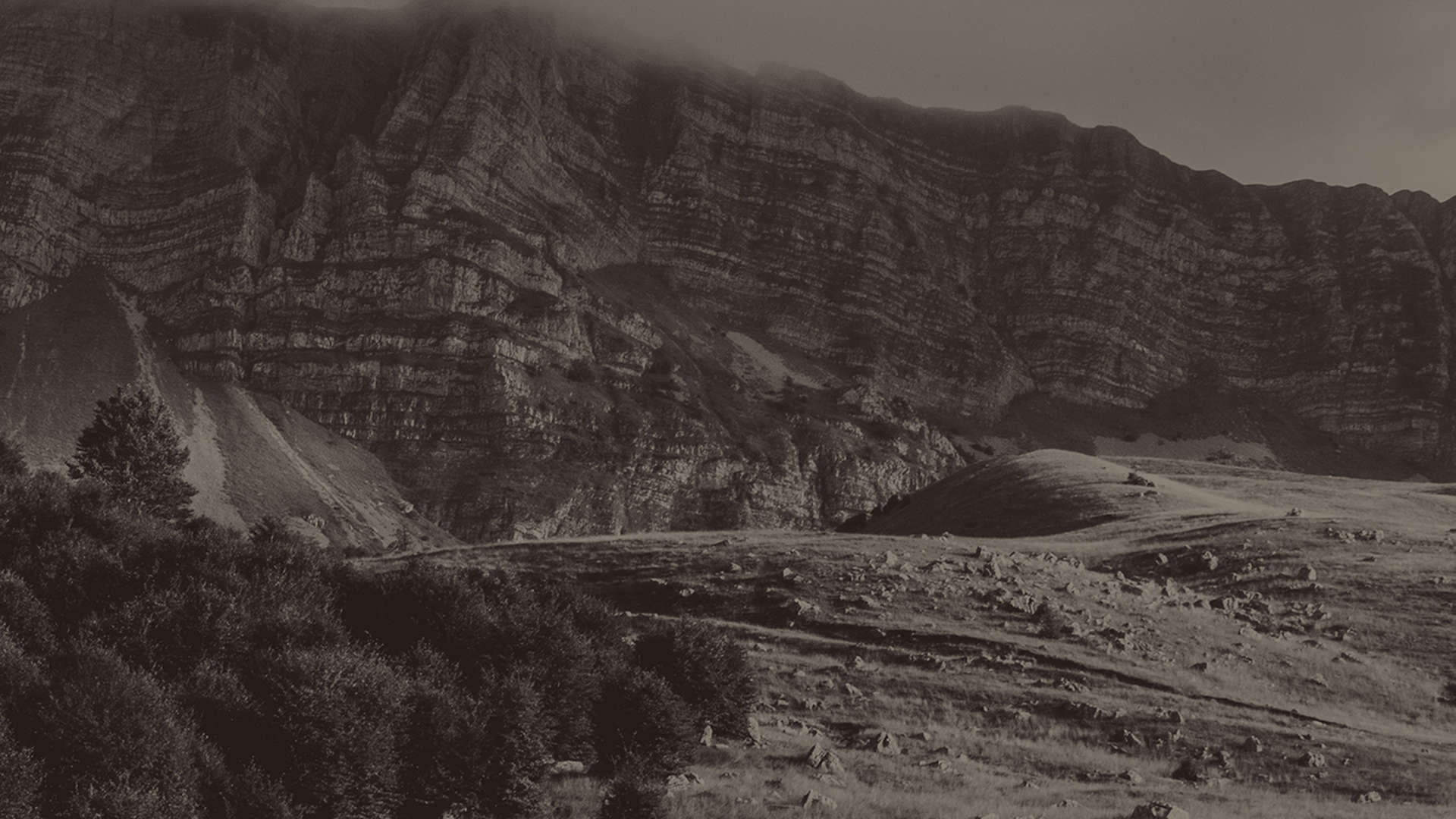 Jovana askrabic 9 Zm Ux BYK05s unsplash